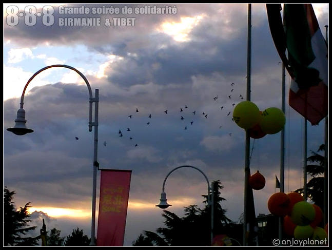 48-vol-colombe-2