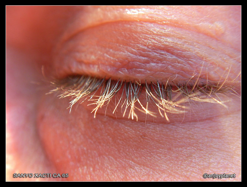 oeil_cils